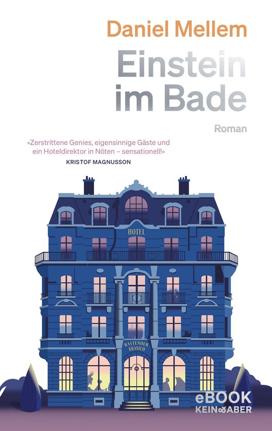 Einstein im Bade - cover