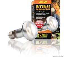 Intense Basking Spot Warmtelamp 25W voor Reptielen