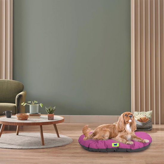 Ferplast Kussen voor honden en katten RELAX F 55/4 katoen en pluche, gewatteerde vulling, wasbaar, praktisch in gebuik