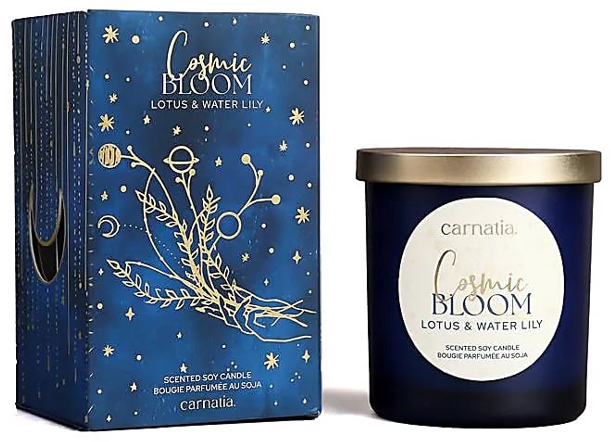 Phoenix Import Mani Bhadra Carnatia Starry Spell sojakaars glas Cosmic Bloom – Ø8 cm x 9 cm zwart