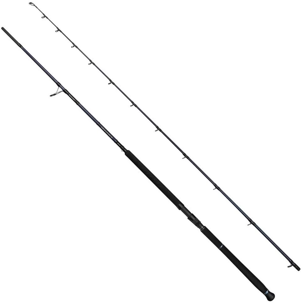 Savage Gear Defiance Sg2 Shore Jigging Hengel Zilver 2.90 m / 20-80 g