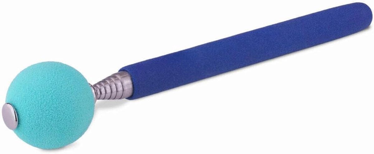 Telescopische Doelstok met Grote Bal voor Hondentraining, Ideaal voor Clicker en Agility Training