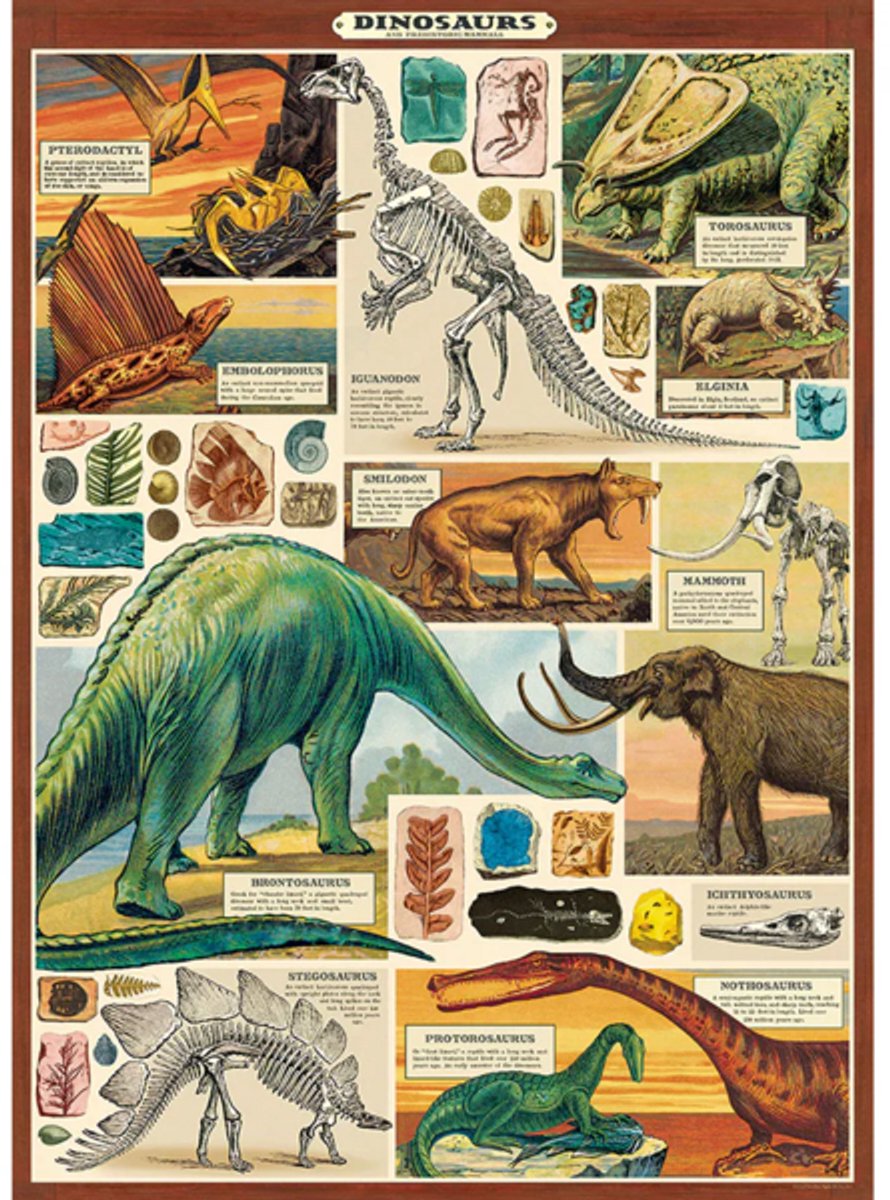 Cavallini & Co Poster Dinosaurussen B - Cavallini & Co - Vintage Schoolplaat Dino's B Multi Color