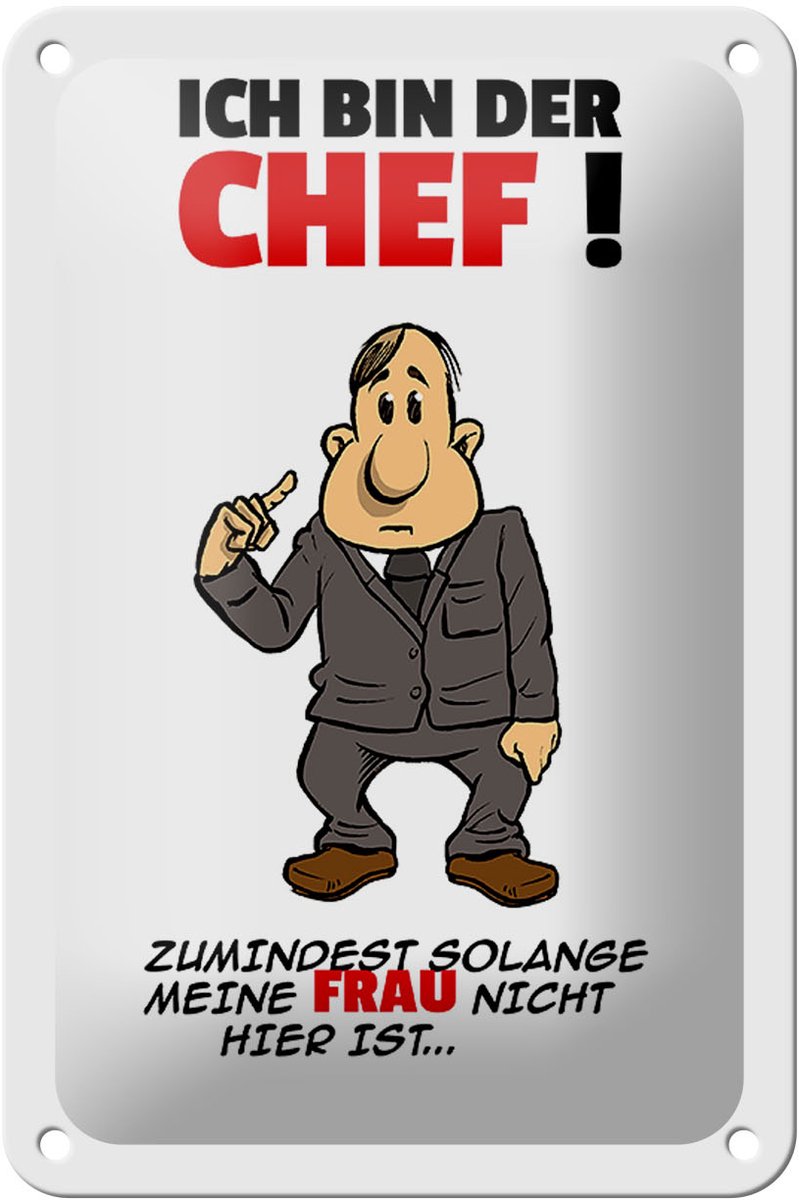 Blechschild Spruch 12x18cm Ich bin der Chef