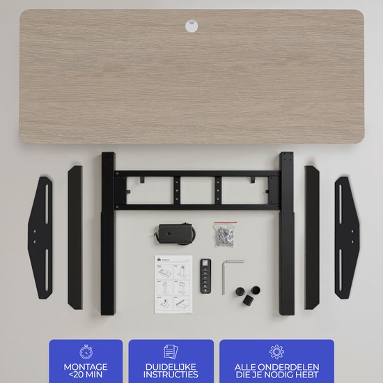 Stane Zit Sta Bureau Elektrisch Verstelbaar - 4 Geheugen Standen - Incl. Kabelgoot - 160 x 80 cm - Eiken