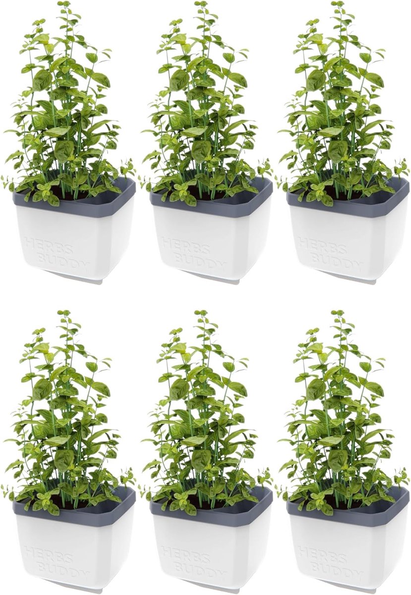 GUSTA GARDEN Herbs Buddy - Zelfbewaterende pot & kruidenpot voor keuken & vensterbank, ideaal voor basilicum, watertank, waterniveau-indicator