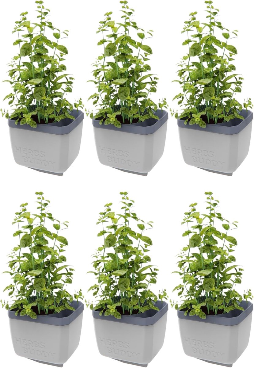 GUSTA GARDEN Herbs Buddy - Zelfbewaterende pot & kruidenpot voor keuken & vensterbank, ideaal voor basilicum, watertank, waterniveau-indicator
