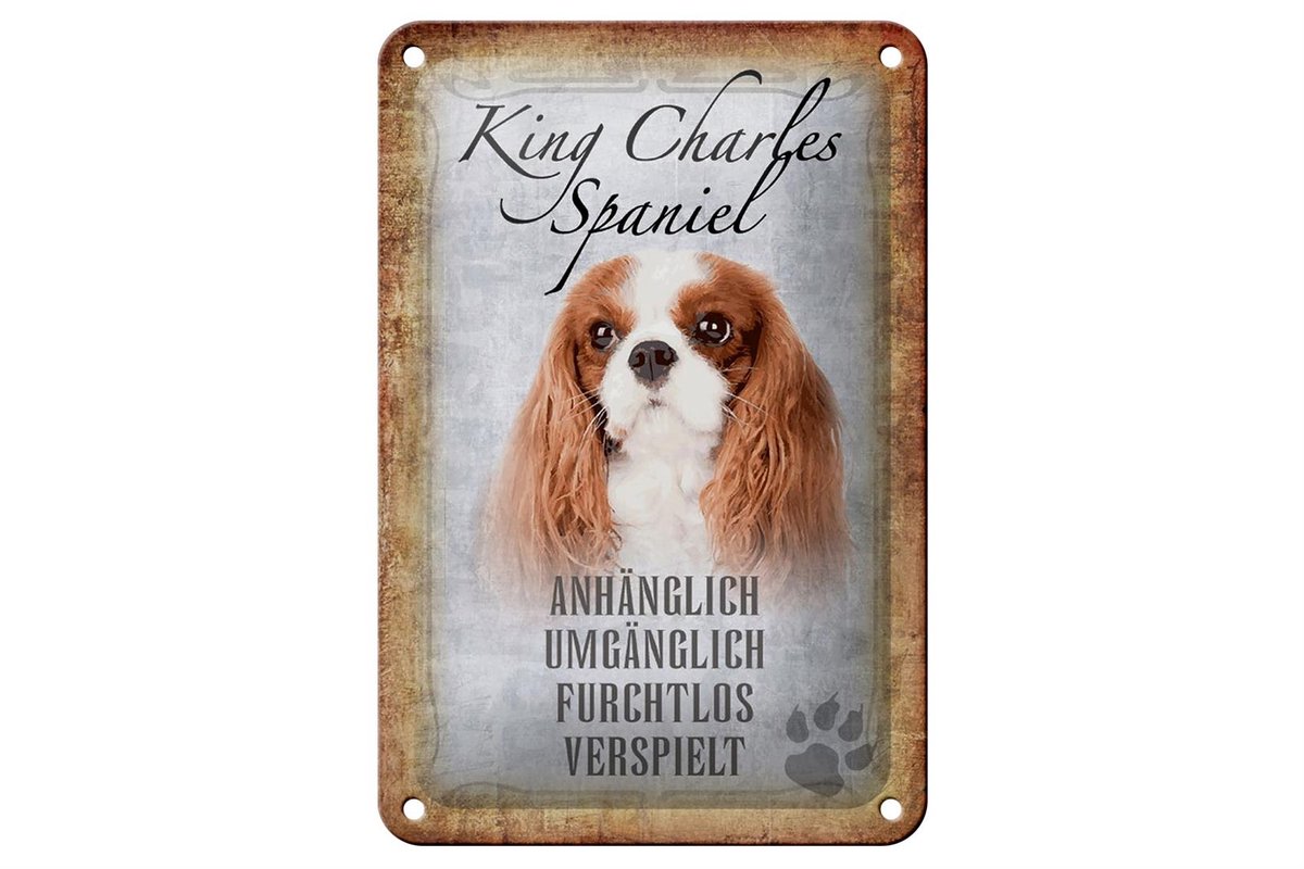 Blechschild Spruch 12x18cm King Charles Spaniel Hund