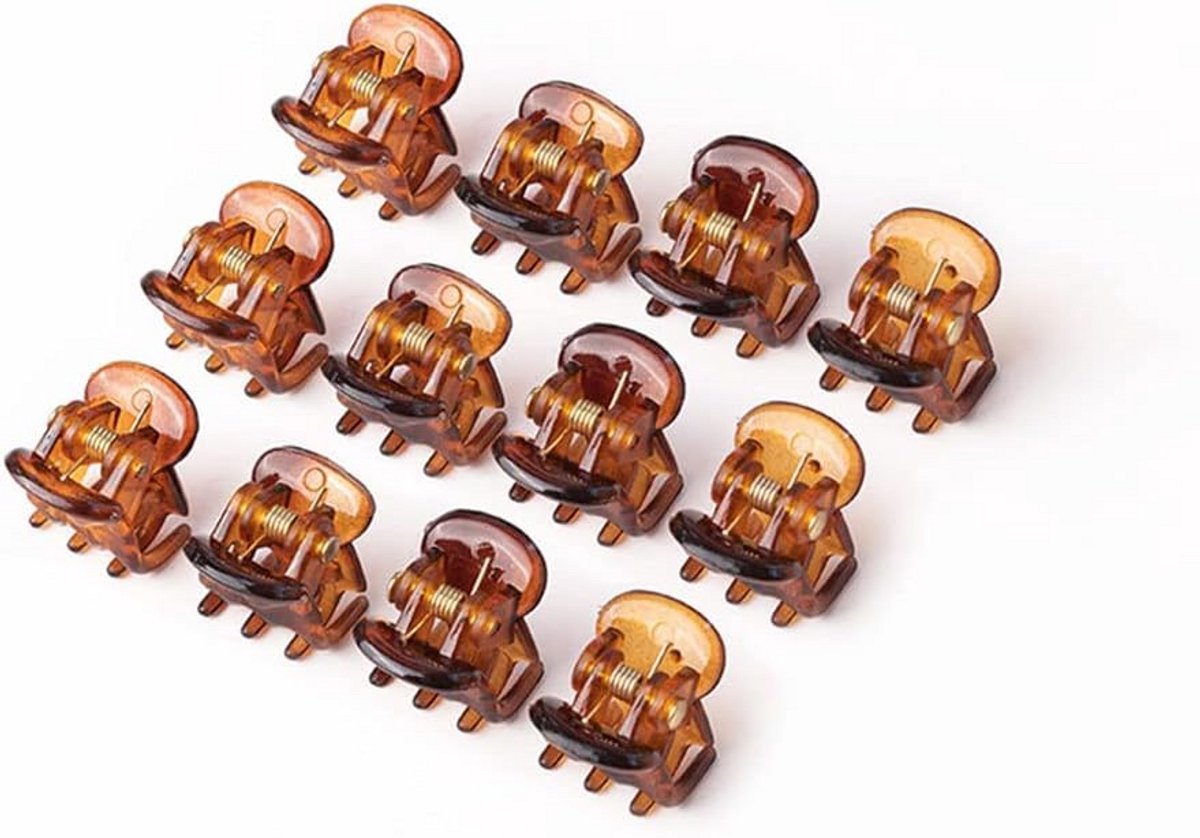 12 Stuks Mini Haarclips voor Dames en Meisjes - Kleine Acryl Klemmetjes met Opbergdoos