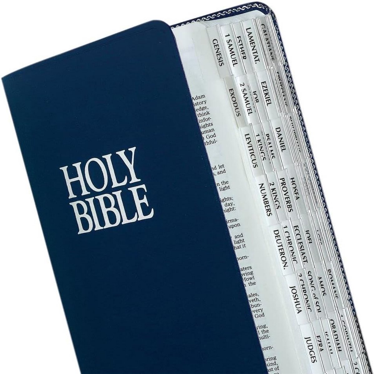 Zilverkleurige Bijbelindexeertabs voor Oud en Nieuw Testament - 80 Tabs inclusief Boeken en Referentiedrivers