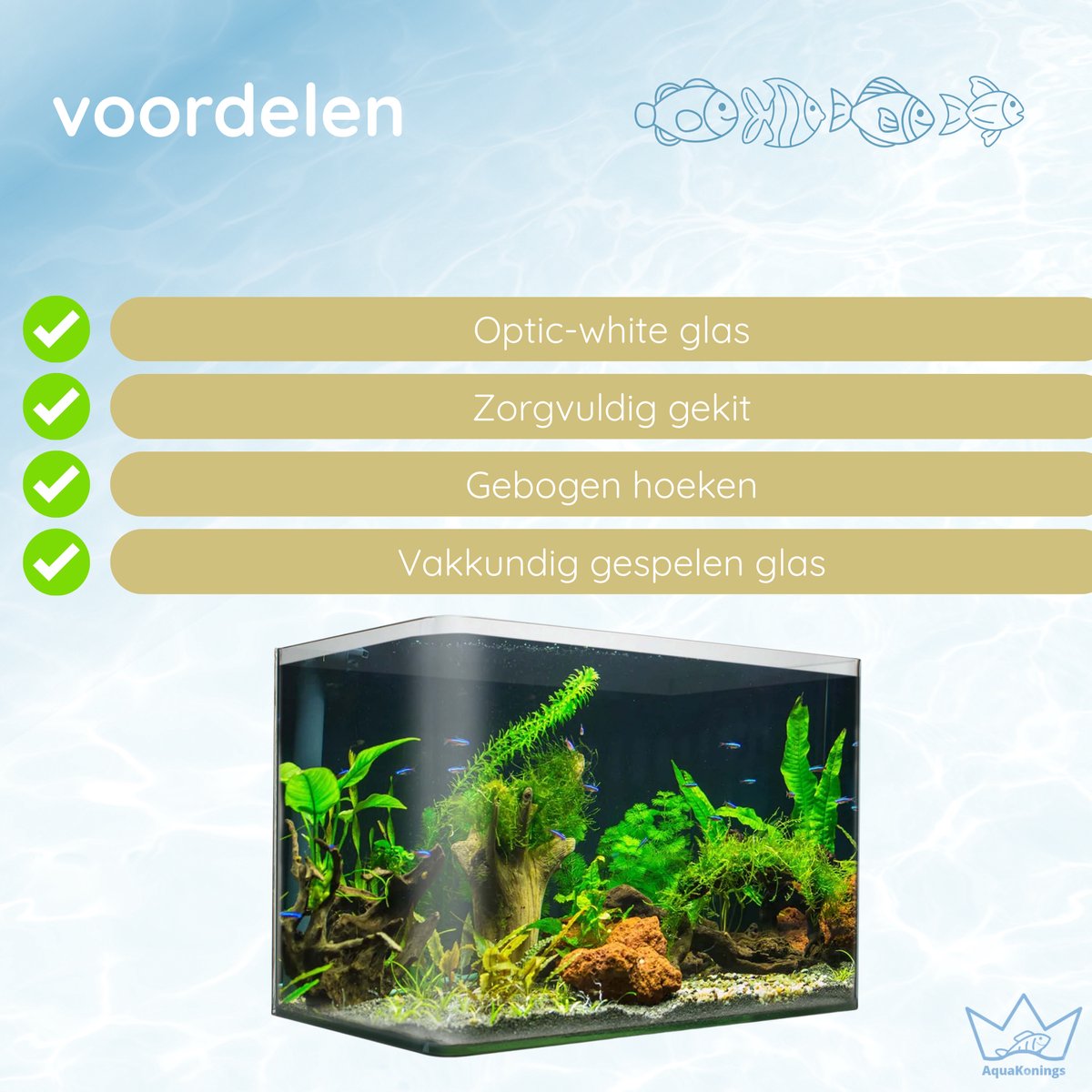 AquaKonings aquarium 60/64L thumbnail 2