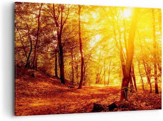 Canvas Schilderij Bos Natuur Landschap 120x80cm – Moderne Wanddecoratie voor Woonkamer en Slaapkamer
