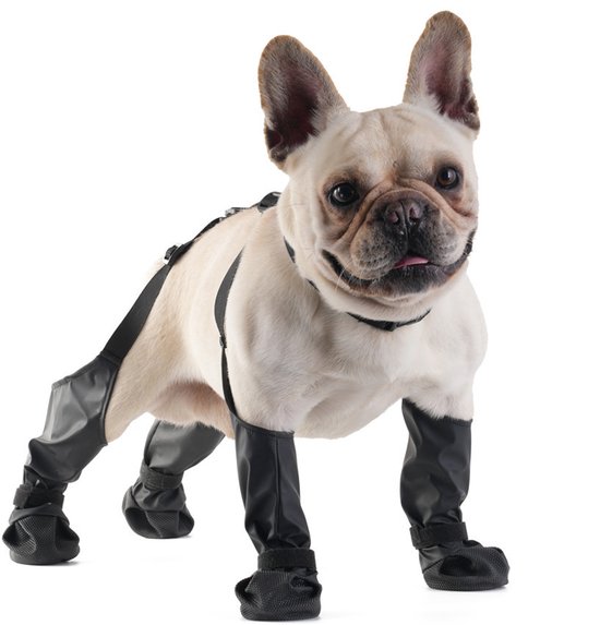 Bottes d'hiver imperméables pour chiens, protecteurs de pattes pour chiens, bottes de neige, chaussures d'extérieur ajustables pour animaux de compagnie, housses de pattes imperméables pour chiens toute l'année.