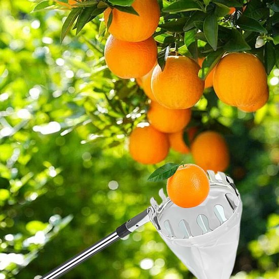 300 cm Telescoop Fruitplukker voor het Plukken van Diverse Fruitsoorten — afbeelding 4