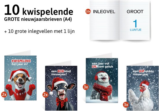 Pakket van 10 KWISPELENDE GROTE nieuwjaarsbrieven (A4)