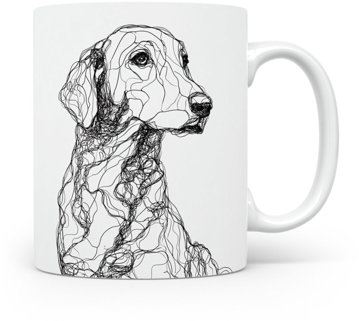 Beker Curly Coated Retriever