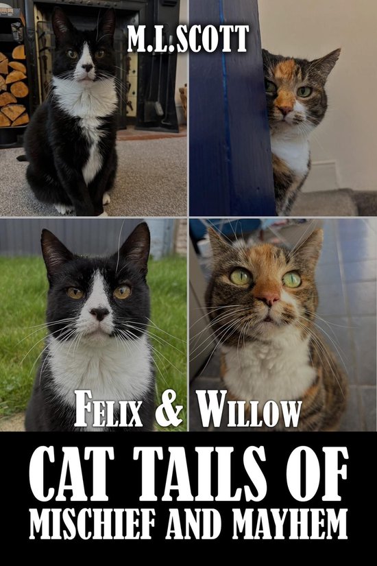 Felix & Willow cat tails of mischief and mayhem - cover