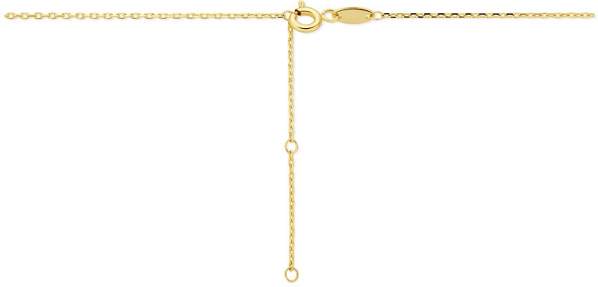 Lev Sieraden - 14k Geelgouden collier met draaglengtes van 41-43-45cm - 14 karaat goud - Ketting