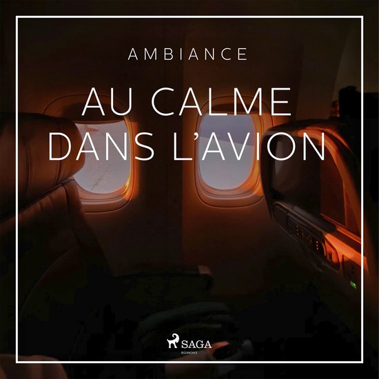 Au calme dans l'avion - cover