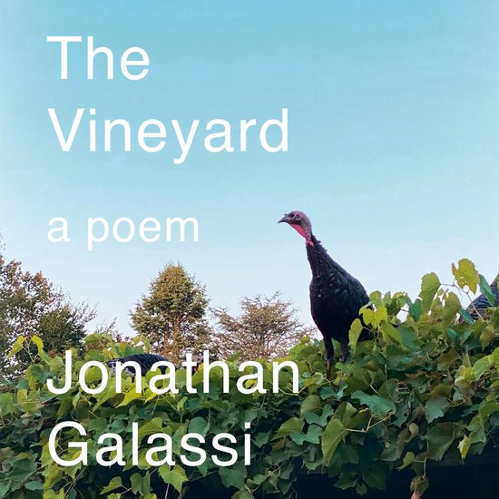The Vineyard - cover