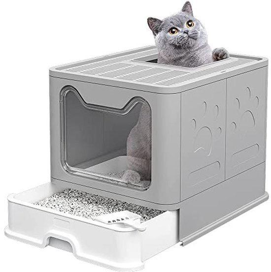 Grijze kattenbak met lade en ronde kat. Grijze Britse Korthaar in de bak.
