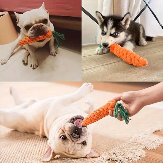Collage van honden met oranje wortel speelgoed. Franse Bulldogs en Husky pup spelen.