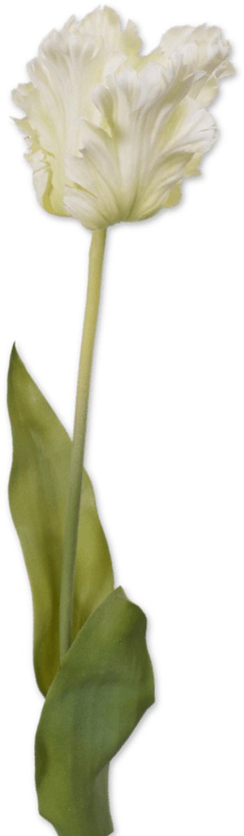 Viv! Home Luxuries Tulp Papegaai - zijden bloem - wit groen - 71cm