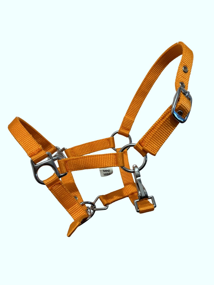Wilder Halster Nylon – MiniMini Shetlander