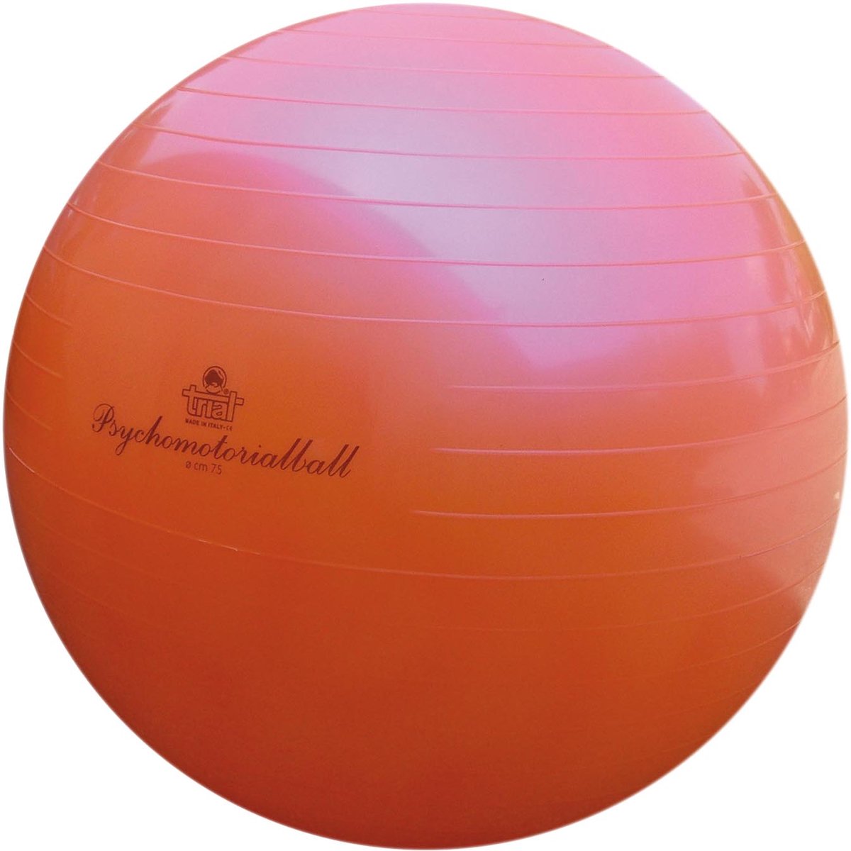Fysiobal Trial V16,75 - 75 cm