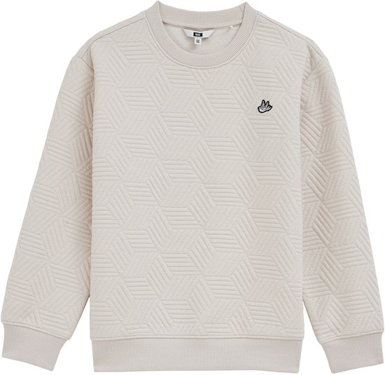 WE Fashion Jongens trui met structuur