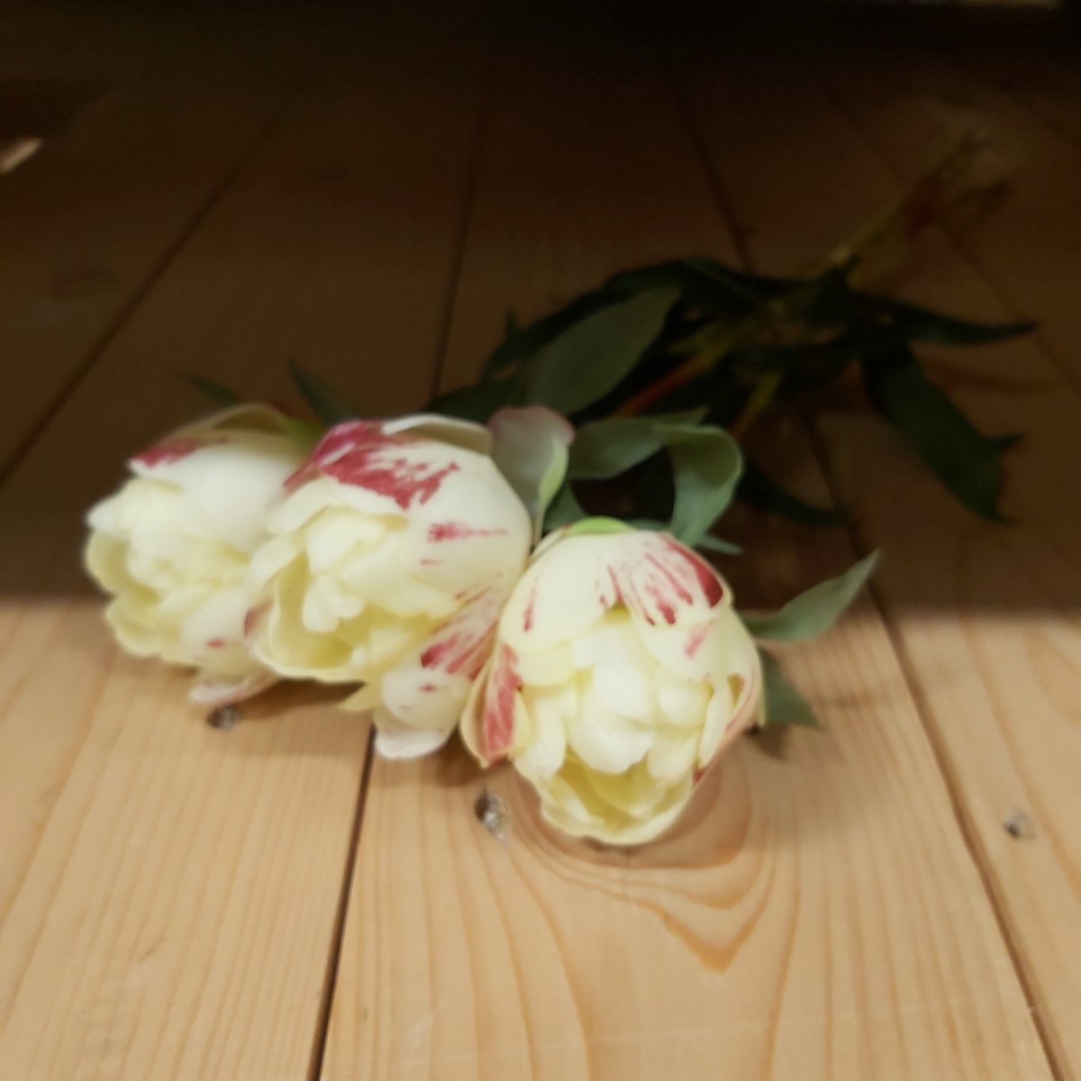 Kunstbloem Paeony Marlie Bundle Crème - 48 cm