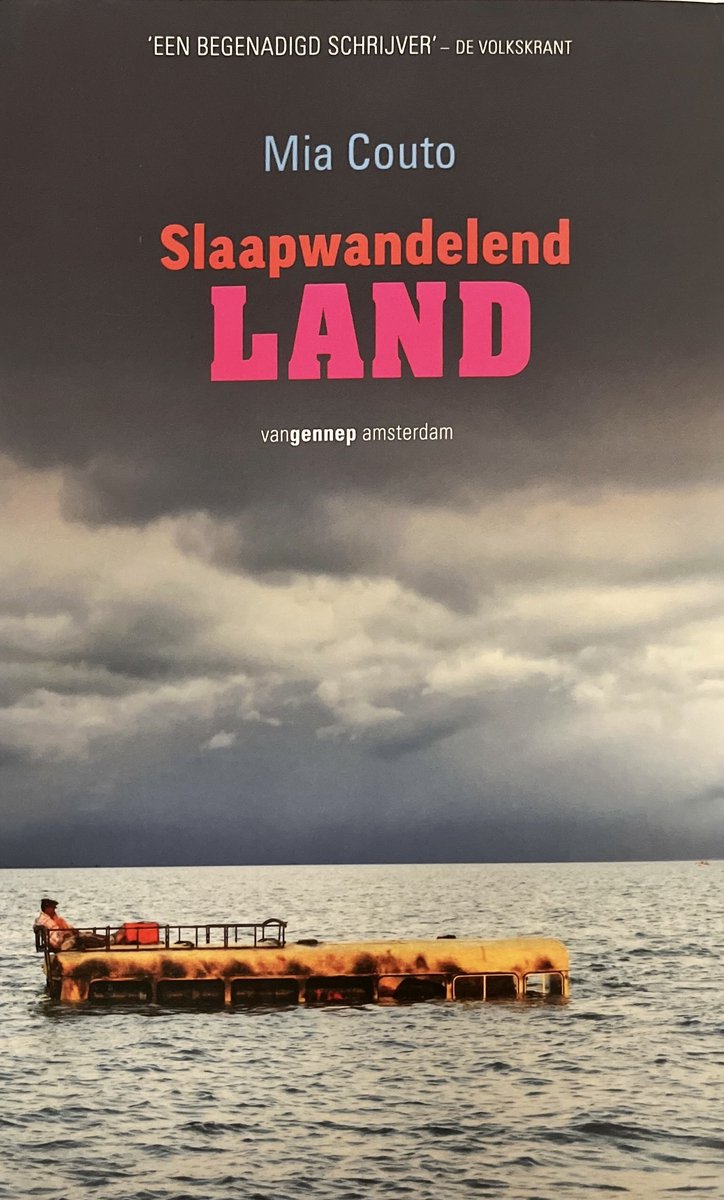 Omslag van Slaapwandelend Land
