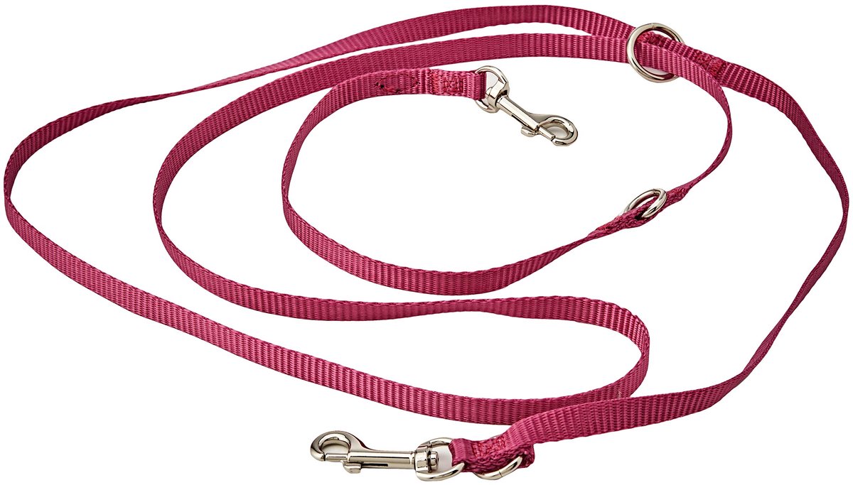 IMPERATORIS® Hondenriem - Looplijn voor Honden - Sterk - 200 cm