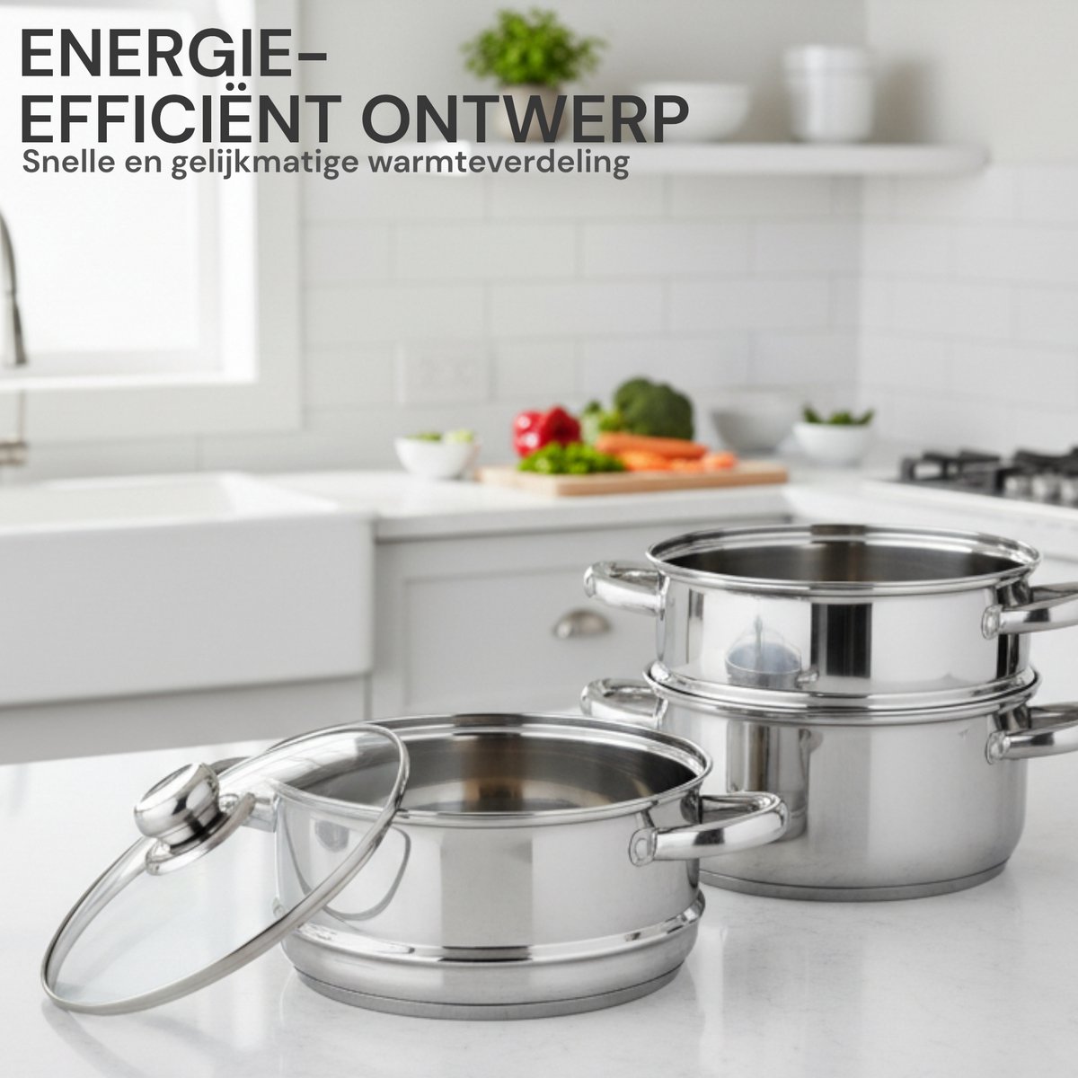 Glazen Royal Swiss pannen Vaatwasserbestendig Kleine 22 cm