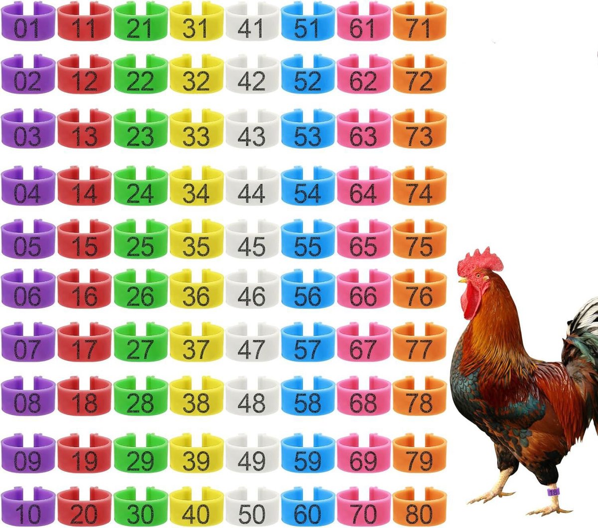 80-Stuks Poultry Foot Rings - Identificatie Clip Ringen voor Kippen -Vogelpootbanden - Kunststof pluimveepootbanden - Kleurgecodeerde pootbanden - Gekerfd bandontwerp - Gemakkelijk voor kuddebeheer - Geschikt voor kippen en boeren - Meerkleurig