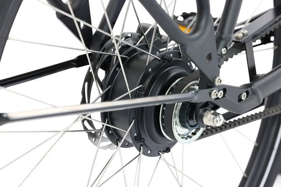 Popal Royl1 Elektrische Fiets - E-bike 28 Inch - Damesfiets 47 cm - Hydraulische schijfrem - 360 Wh Accu - Matzwart van Popal — afbeelding 5