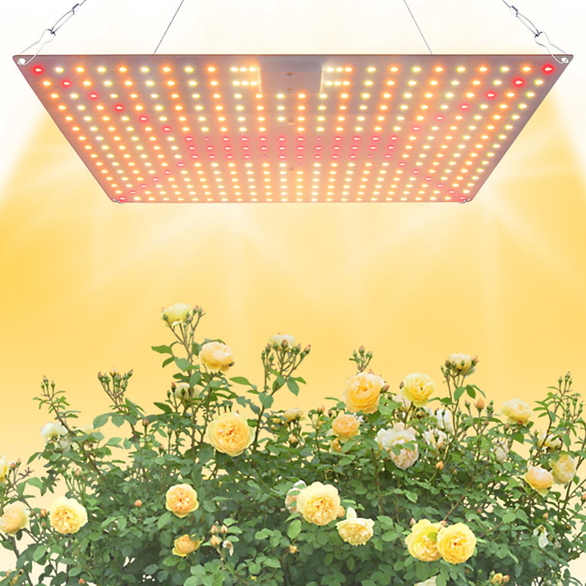 MUPOO Groeilamp Planten – Kweeklamp LED Full Spectrum 45W (240 LED’s) – Voor Binnenplanten, Groenten & Bloemen – Met Daisy Chain Functie, Energiezuinig & Volledig Spectrum