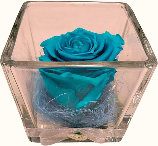 Valentijnsdag cadeau Ik hou van jou Ge conserveerde rozen dozen Ge conserveerde