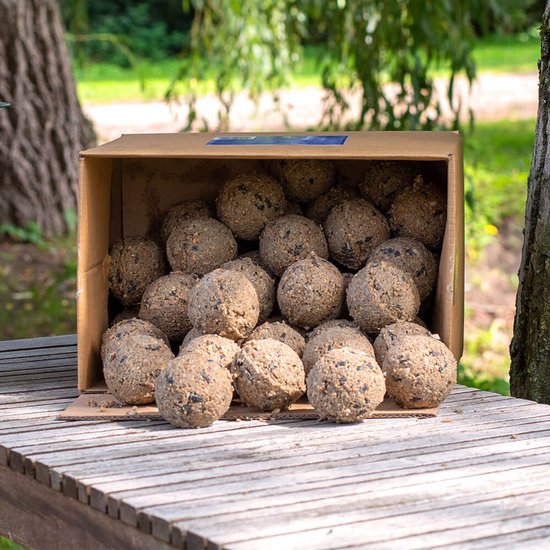 CJ Wildlife 50st Vetbollen met Insecten voor Vogels - Aanbevolen door Vogelbescherming Nederland - Mezenbollen zonder Net - 95 gram per bol - Vogelvoer Buitenvogels - Energierijk Tuinvogelvoer