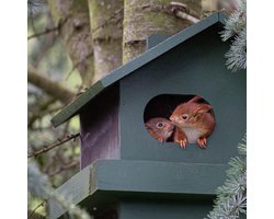 CJ Wildlife - Eekhoorn huis - Groen - FSC -gecertificeerd material - Extra rand voor steun en grip - Brede ingang - Eekhoorn Nest