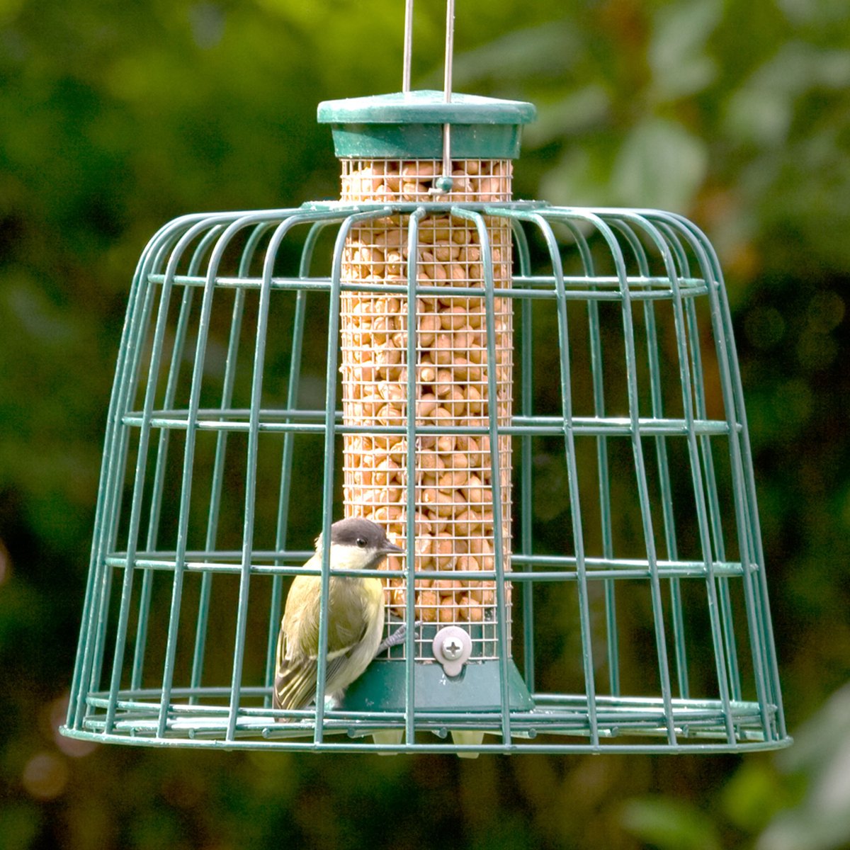 CJ Wildlife Pindasilo met Beschermkooi voor Vogels - Voedersilo van 23cm voor Tuinvogels - Vogelvoedersilo voor Kleine Vogels - Hangend Vogelvoederhuisje - Vogelvoer Silo - Groen