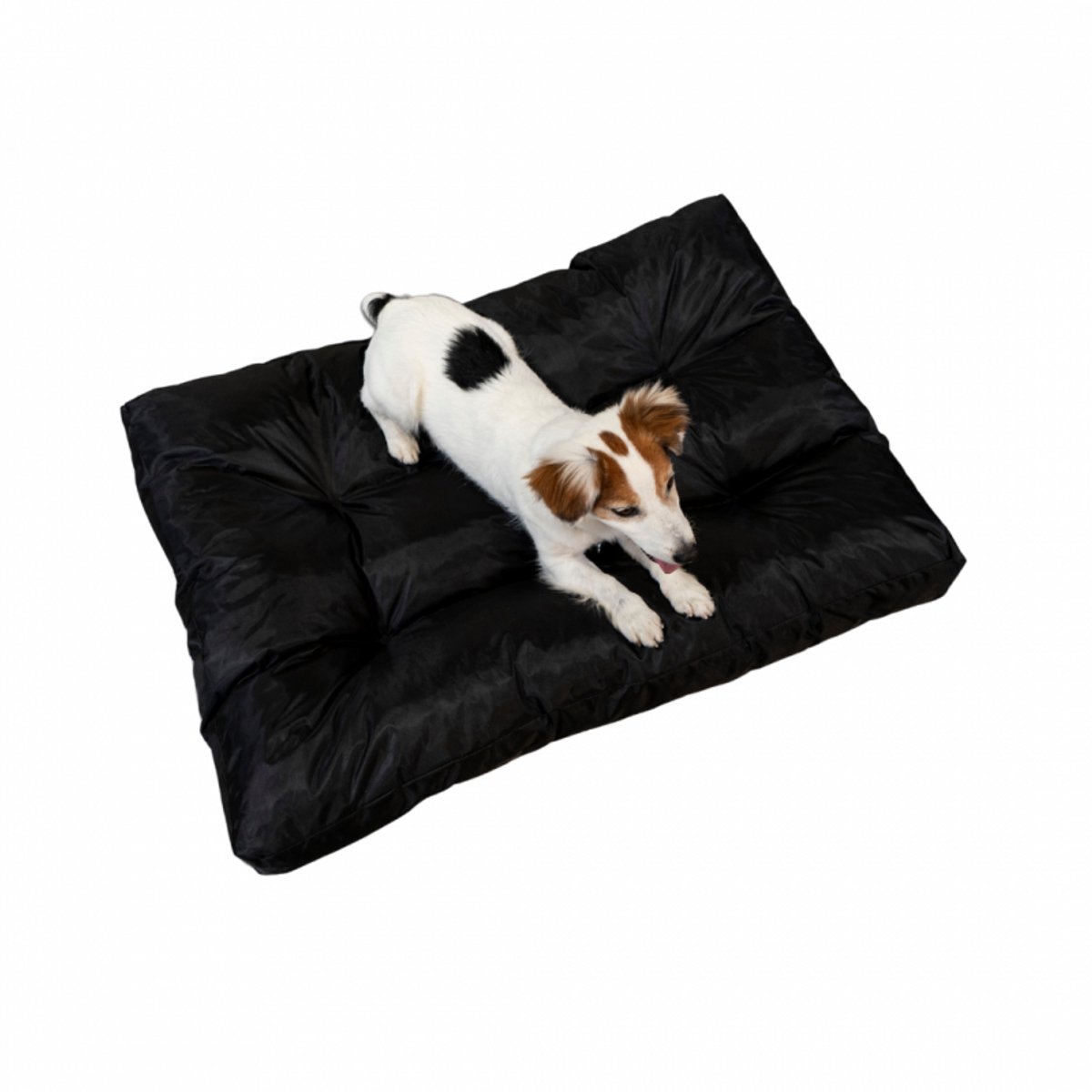 Bananair - Hondenmand - Waterafstotend - 90x65x10 cm - Zwart