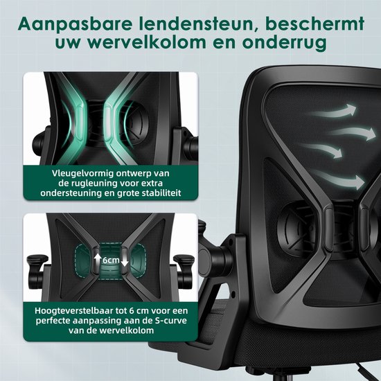 Hiaonyx Chaise de Bureau-Chaise de Bureau Ergonomique-Chaises de Bureau pour Adultes-Accoudoirs Pliants-Support Lombaire-Coussin d'assise épaissi et élargi- Zwart