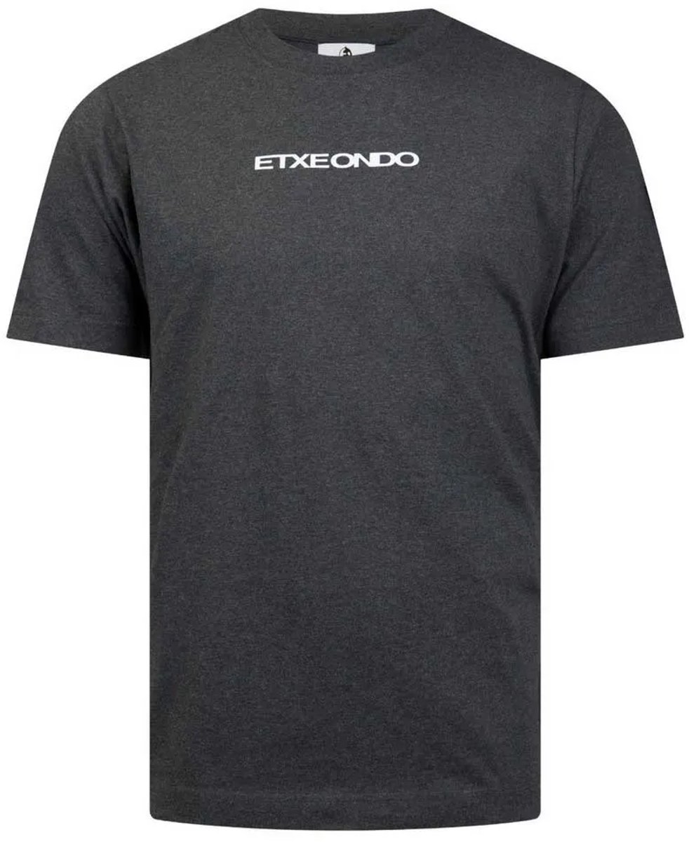 Etxeondo Freestyler T-shirt Met Korte Mouwen Grijs