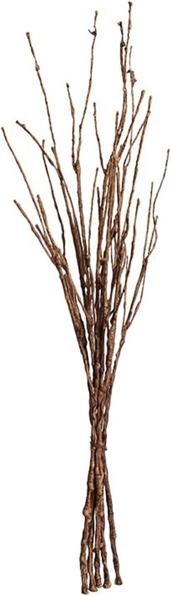 Kunstmatige Krullende Wilgentakken voor Doe-Het-Zelf Bloemstukken - 61 cm Decoratieve Takk