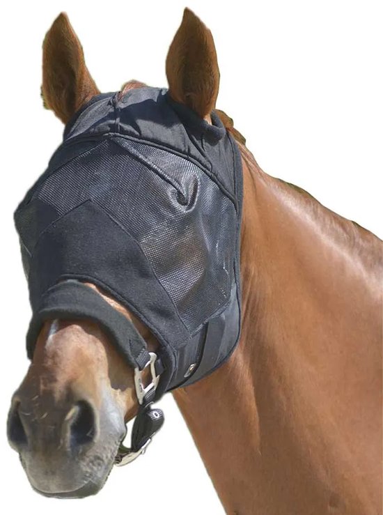 Bruin paard met een zwart vliegenmasker, met gaas bij de ogen en oren. Het masker heeft een gesp.