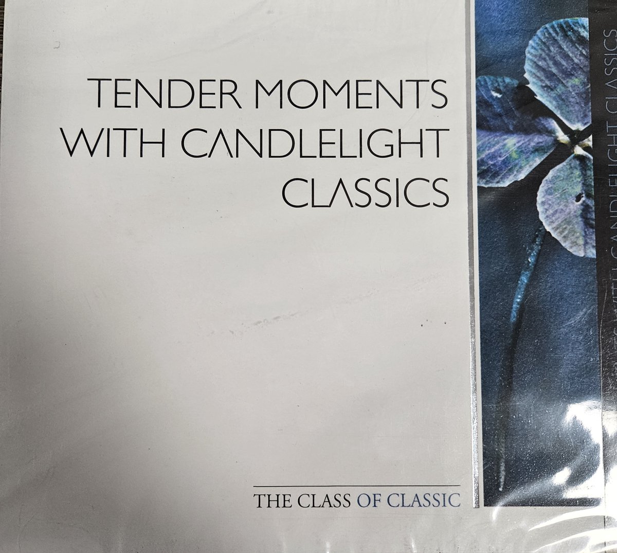 Tender Moments With Candl