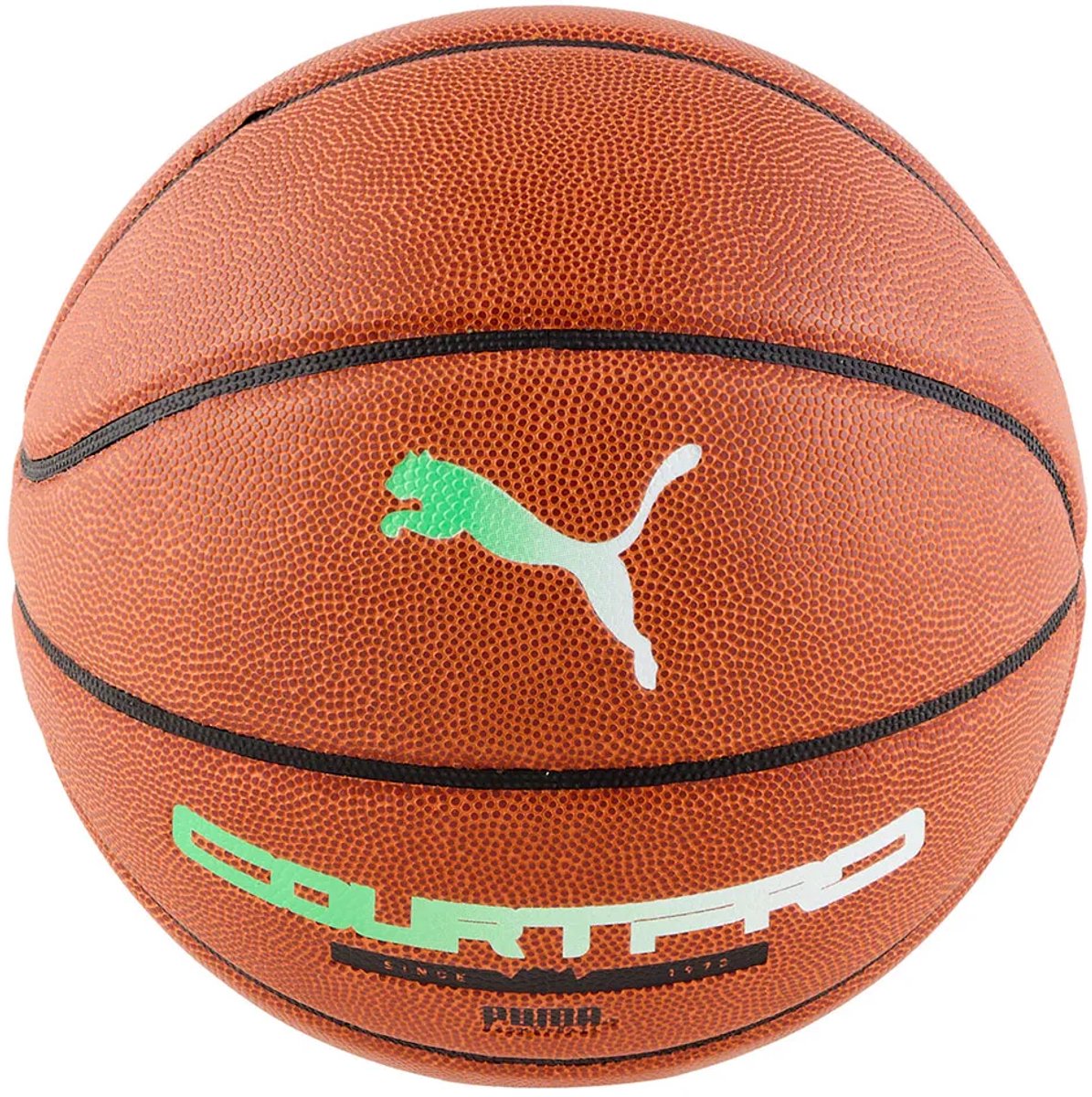 Puma Teamjaws Court Pro Basketbal Bal 6 Bruin