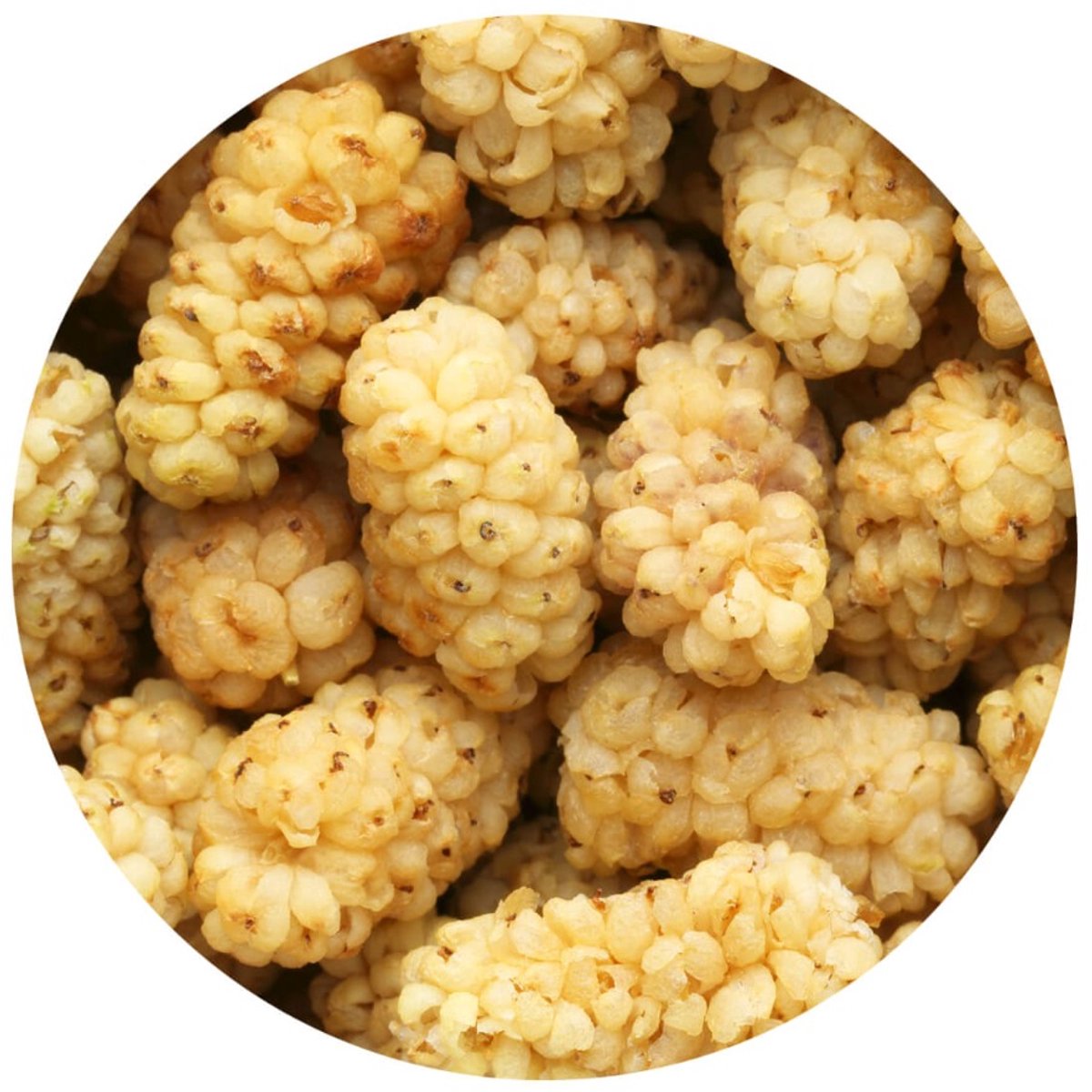 Moerbeibessen Wit gedroogd - 100 gram - VehGro