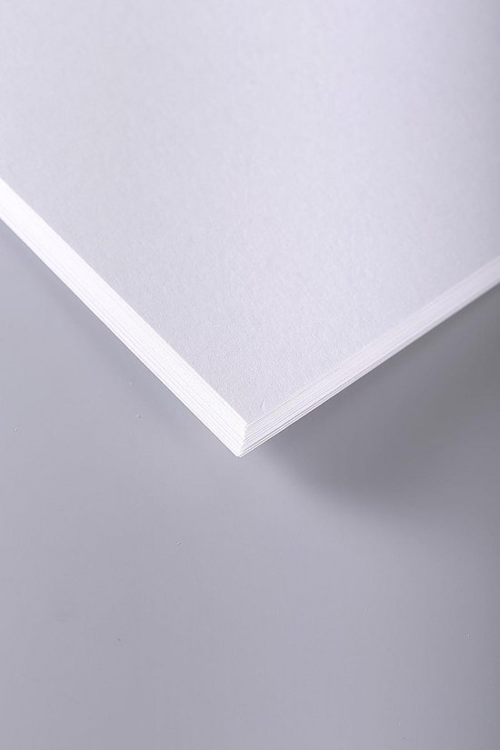 Exacompta 56240E Sichtmappe (mit 20 Prospeckthüllen mit Exaring aus PP